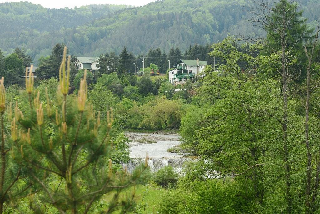 Vila Horia Bradet Hotel Săcele Екстериор снимка